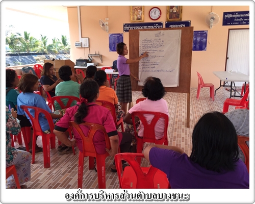 โครงการสนับสนุนการจัดทำแผนชุมชนและการจัดเวทีประชาคมหมู่บ้านเพื่อการจัดทำ แผนพัฒนาสามปี (พ.ศ.2560-2562)